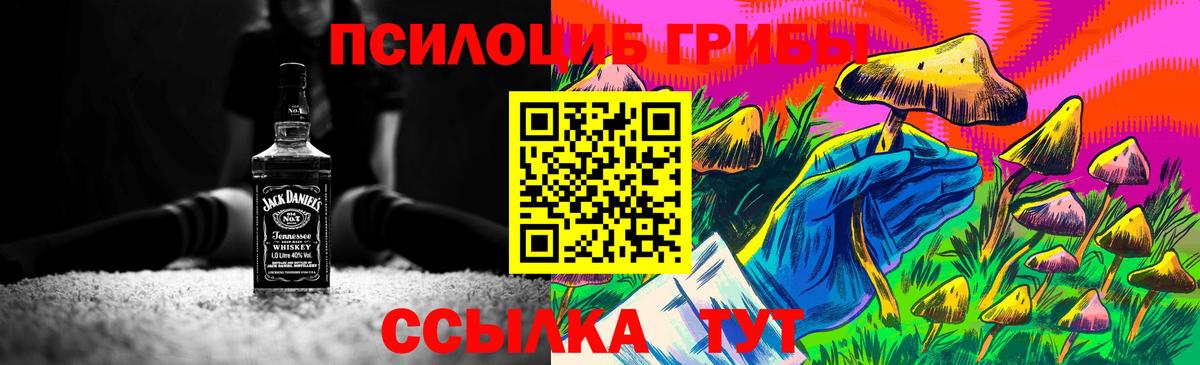 Псилоцибиновые грибы Magic Shrooms  купить наркотики сайты  Москва  Вход с VPN 